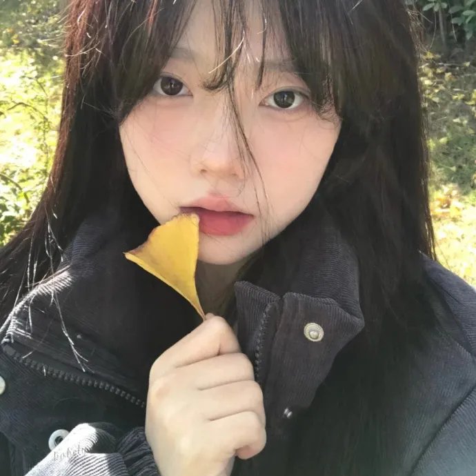森林里的熊先生